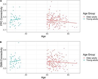 Associations Between Age and Resting State Connectivity Are Partially Dependent Upon Cardiovascular Fitness